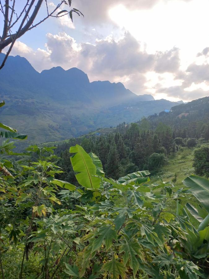 Homestay Hoang Vu Хазянг Экстерьер фото