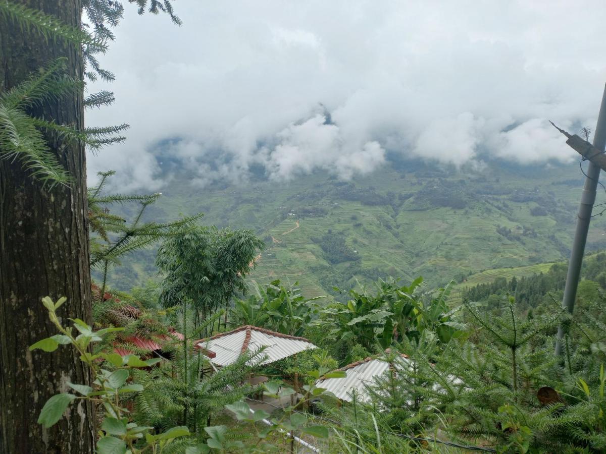 Homestay Hoang Vu Хазянг Экстерьер фото
